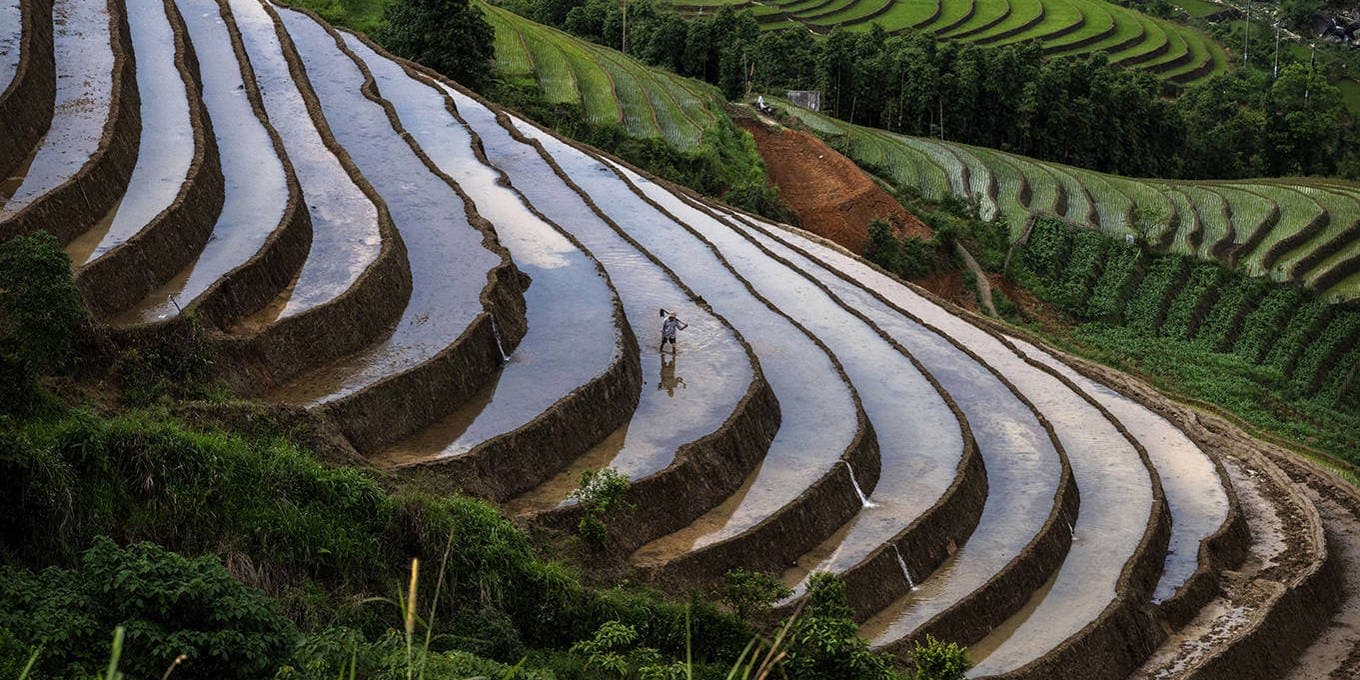 What the Iran War Taught the World About Food Security - INVIZION Holding Insights